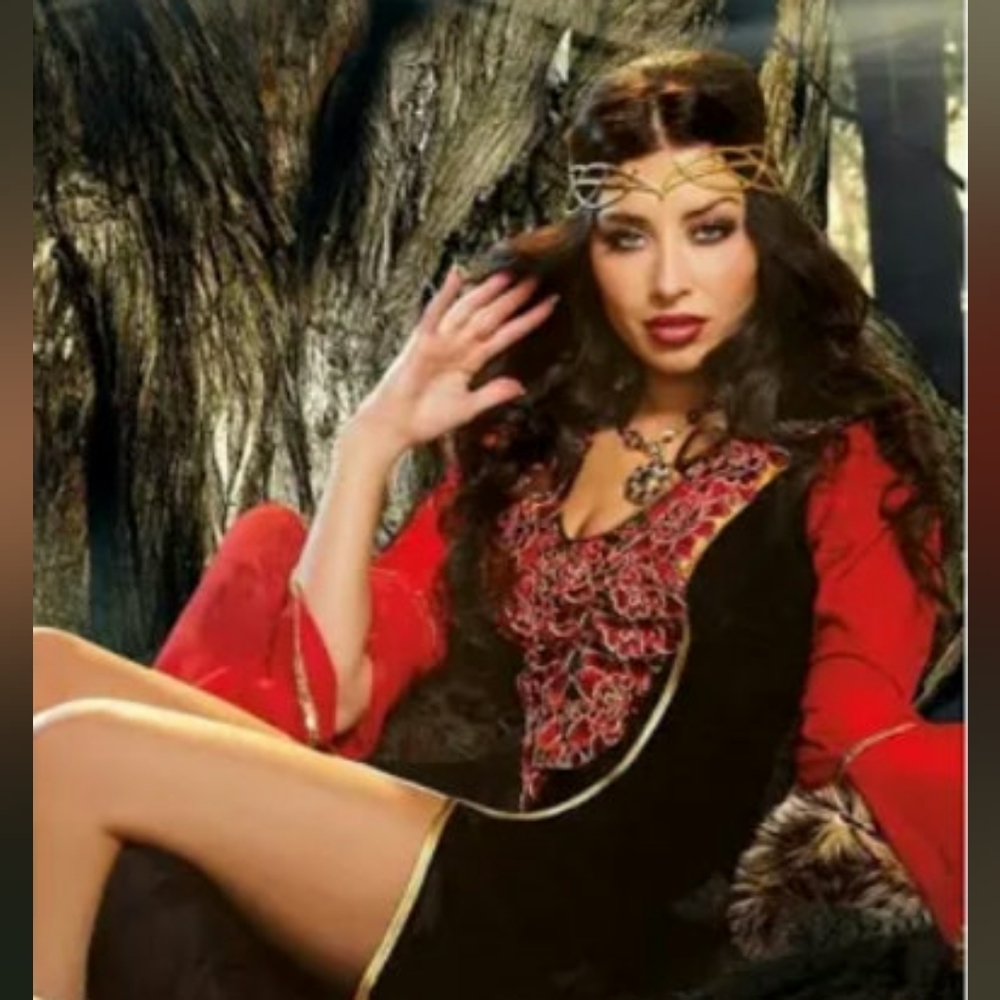 Black & Red, High Low dress with embroidered red & gold accents Medieval Maiden